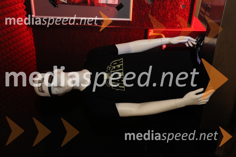 HAMER, predstavitev albuma SHAMAR