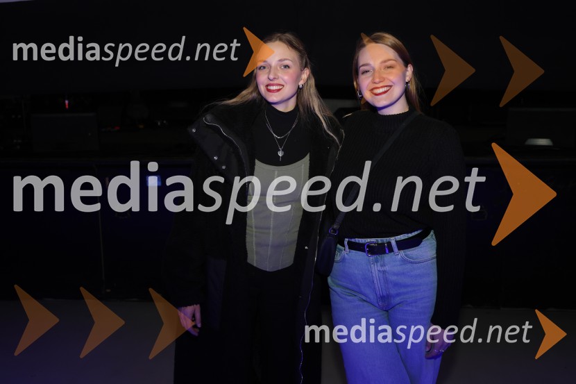 HAMER, predstavitev albuma SHAMAR