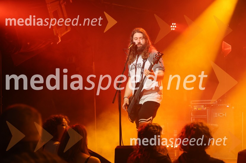 HAMER, predstavitev albuma SHAMAR