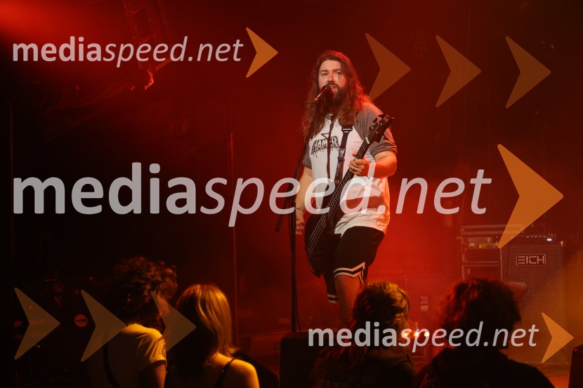 HAMER, predstavitev albuma SHAMAR