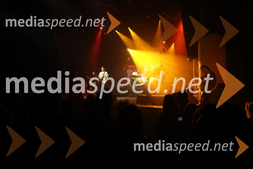 HAMER, predstavitev albuma SHAMAR