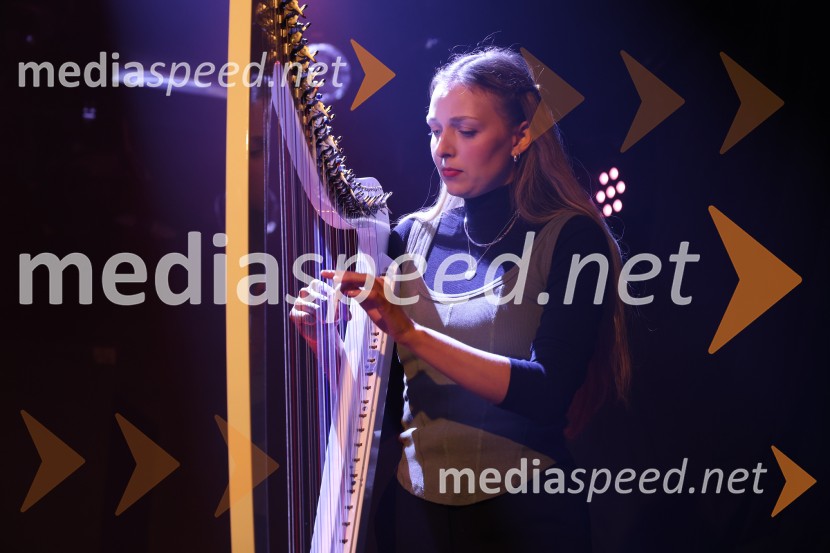 HAMER, predstavitev albuma SHAMAR