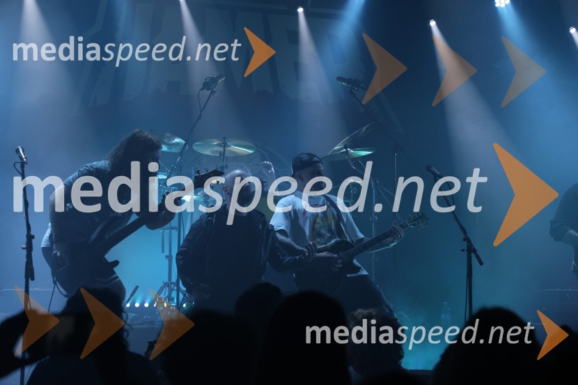 HAMER, predstavitev albuma SHAMAR