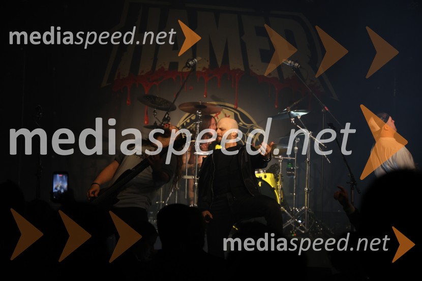 HAMER, predstavitev albuma SHAMAR