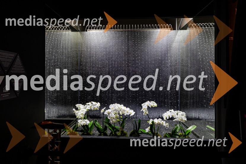 Hiša iluzij Ljubljana - svet, kjer ni nič, kot se zdi