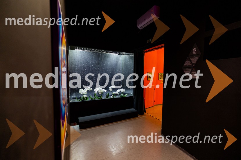 Hiša iluzij Ljubljana - svet, kjer ni nič, kot se zdi