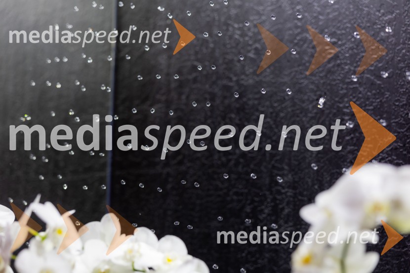 Hiša iluzij Ljubljana - svet, kjer ni nič, kot se zdi