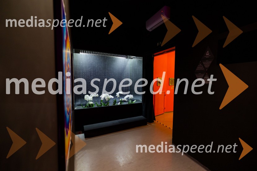 Hiša iluzij Ljubljana - svet, kjer ni nič, kot se zdi