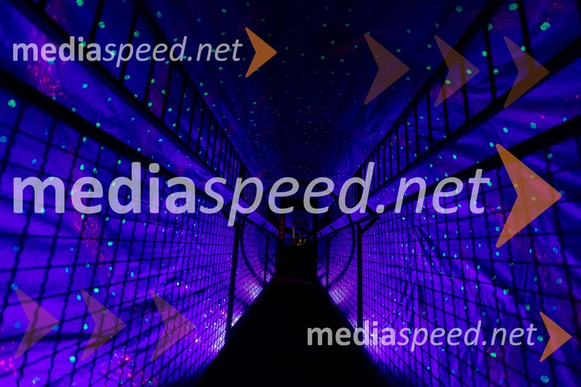 Hiša iluzij Ljubljana - svet, kjer ni nič, kot se zdi