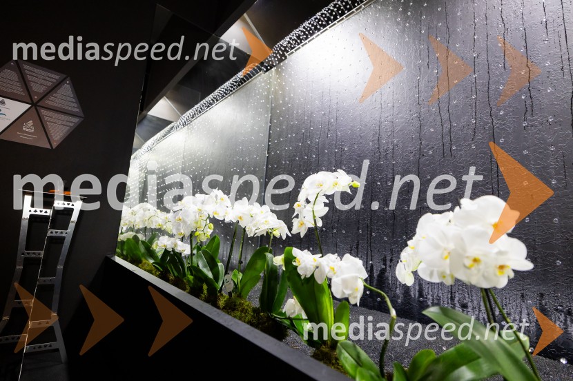 Hiša iluzij Ljubljana - svet, kjer ni nič, kot se zdi