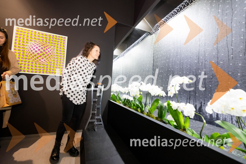 Hiša iluzij Ljubljana - svet, kjer ni nič, kot se zdi