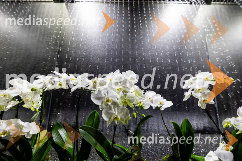 Hiša iluzij Ljubljana - svet, kjer ni nič, kot se zdi