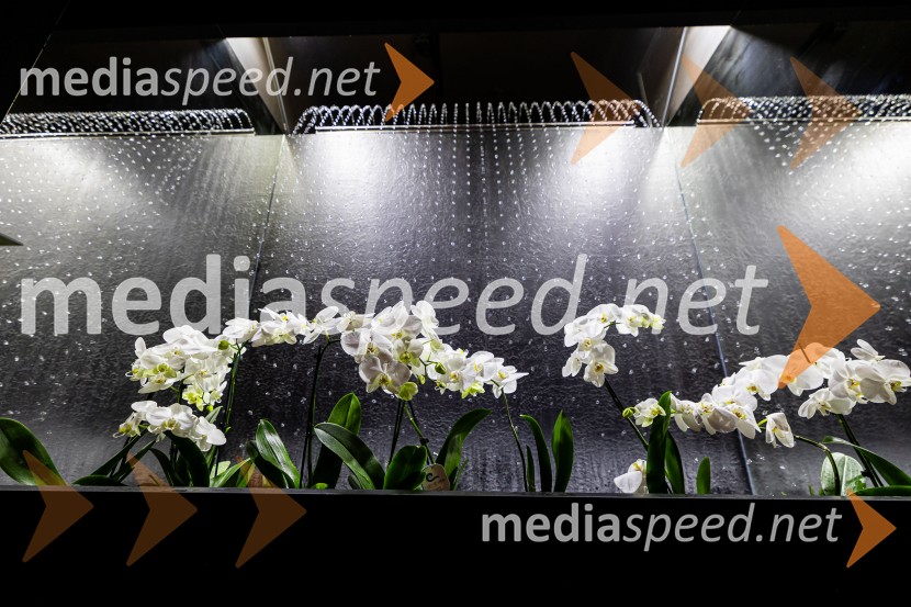 Hiša iluzij Ljubljana - svet, kjer ni nič, kot se zdi