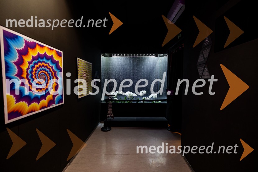 Hiša iluzij Ljubljana - svet, kjer ni nič, kot se zdi