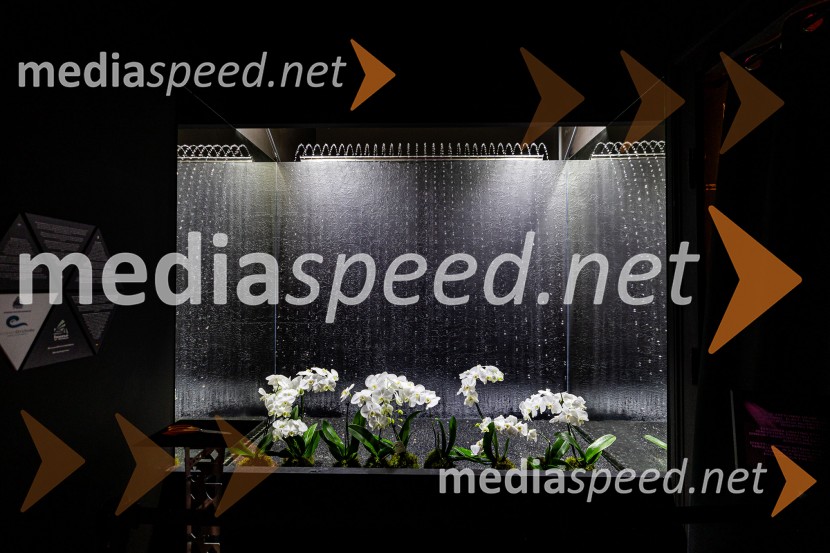 Hiša iluzij Ljubljana - svet, kjer ni nič, kot se zdi