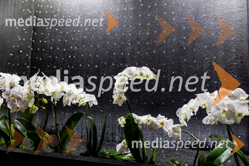 Hiša iluzij Ljubljana - svet, kjer ni nič, kot se zdi