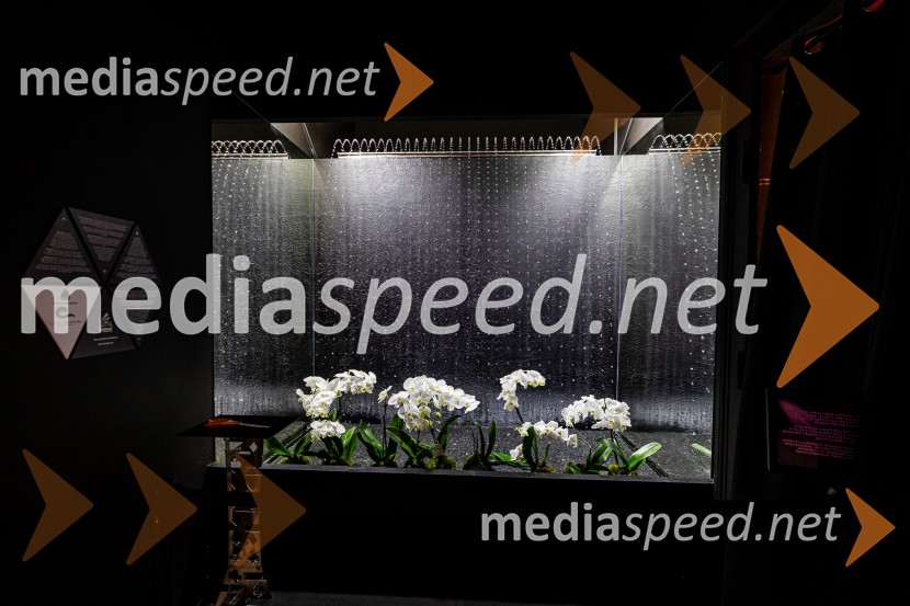 Hiša iluzij Ljubljana - svet, kjer ni nič, kot se zdi