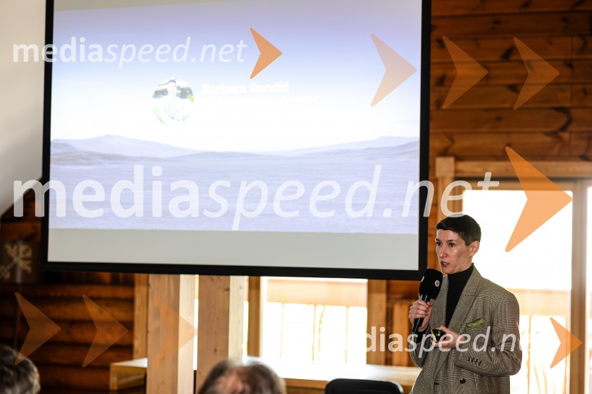 BYD hibrid, predstavitev