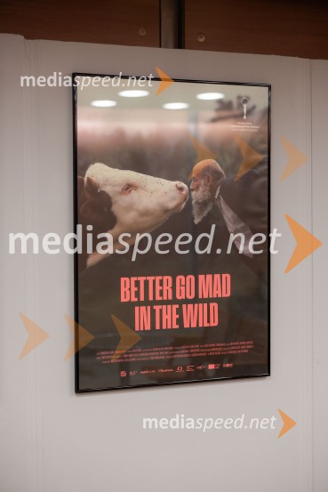 Festival dokumentarnega filma, zaključek