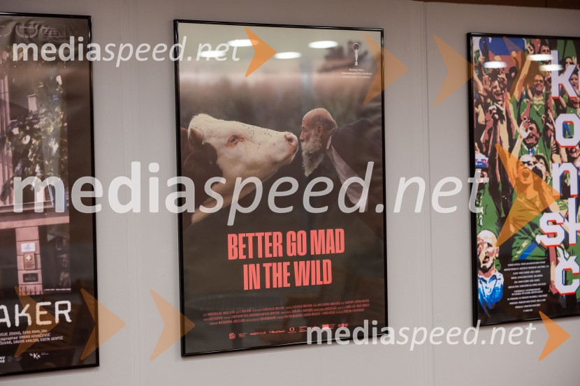 Festival dokumentarnega filma, zaključek