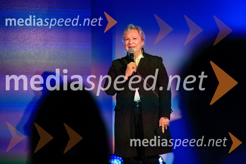 CHANGAN, predstavitev