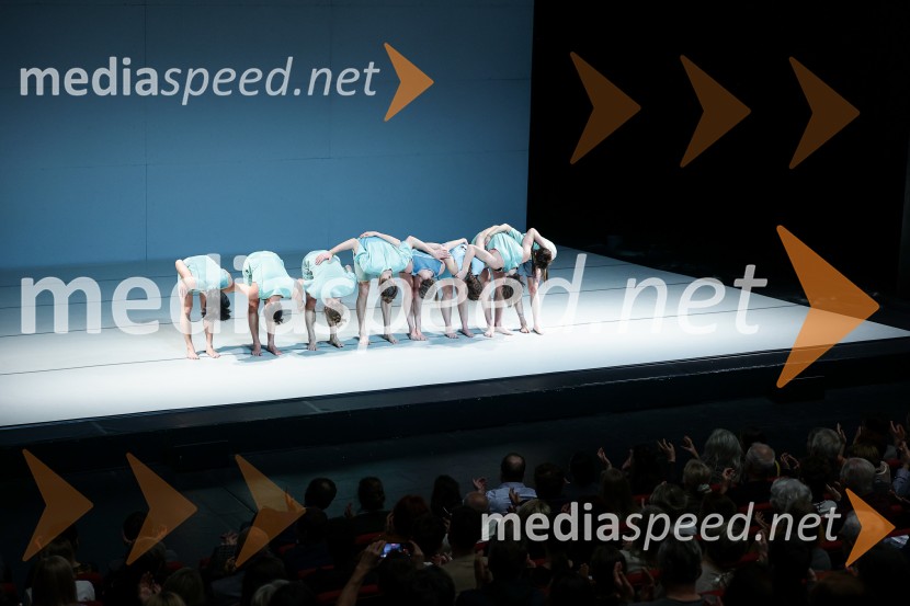 Not Standing: Predznak, Cankarjev dom