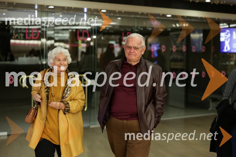 Not Standing: Predznak, Cankarjev dom