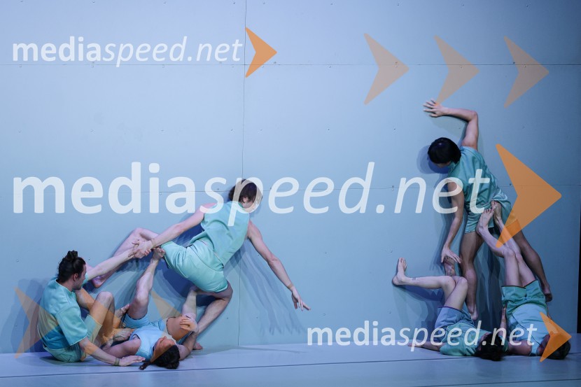 Not Standing: Predznak, Cankarjev dom