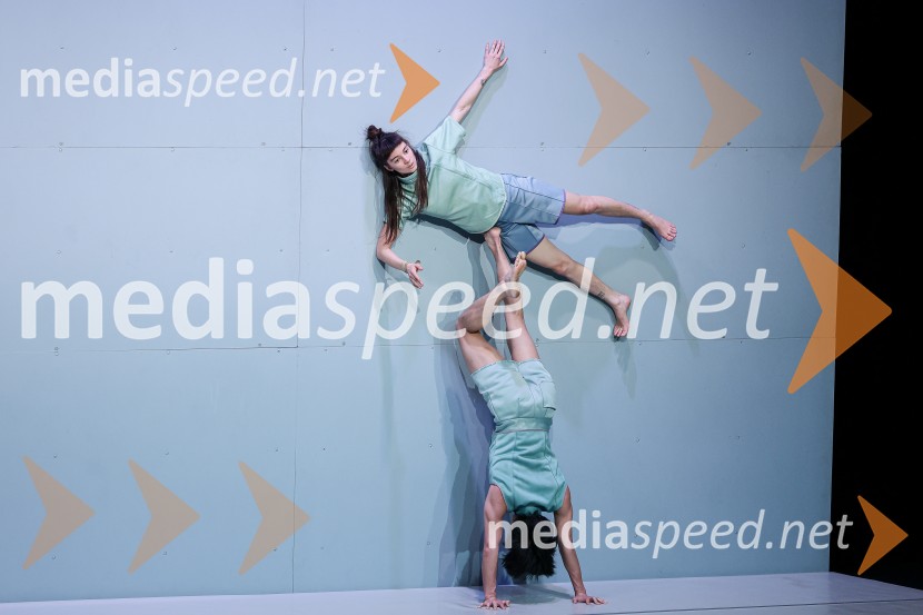 Not Standing: Predznak, Cankarjev dom