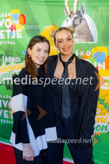 STIK Laško, novinarska konferenca