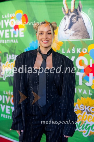 STIK Laško, novinarska konferenca