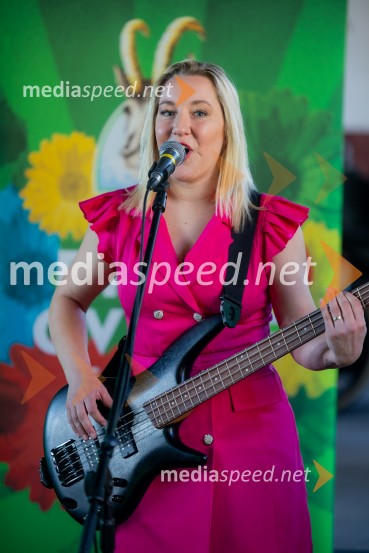 STIK Laško, novinarska konferenca