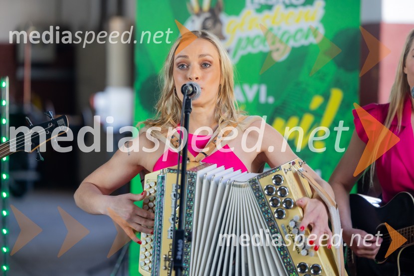 STIK Laško, novinarska konferenca