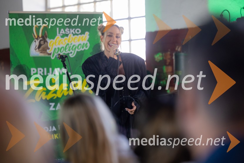 STIK Laško, novinarska konferenca