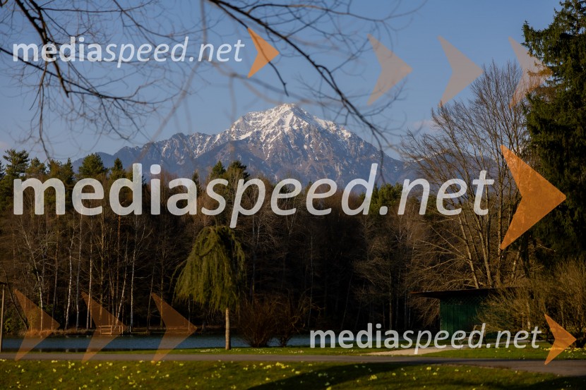 Redna letna skupščina Slovenskega konzularnega zbora