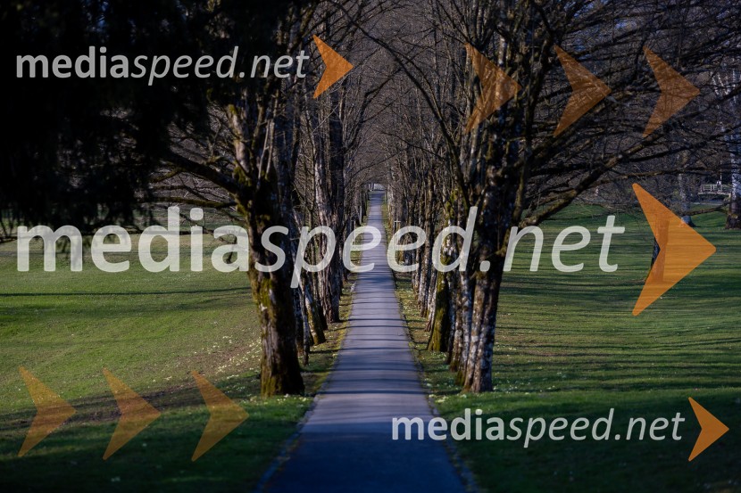 Redna letna skupščina Slovenskega konzularnega zbora