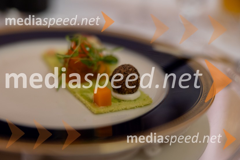 Redna letna skupščina Slovenskega konzularnega zbora