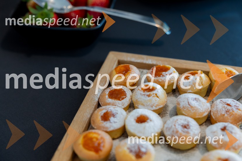 Redna letna skupščina Slovenskega konzularnega zbora