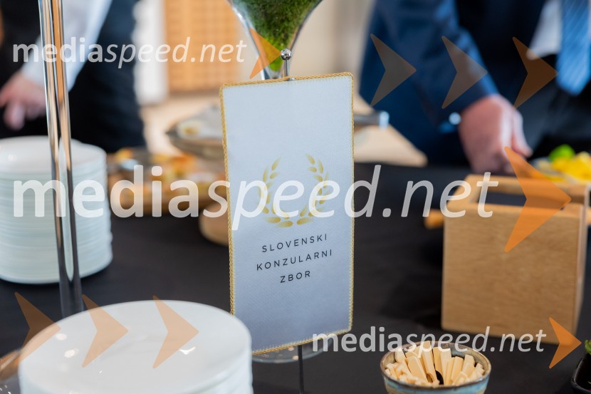 Redna letna skupščina Slovenskega konzularnega zbora