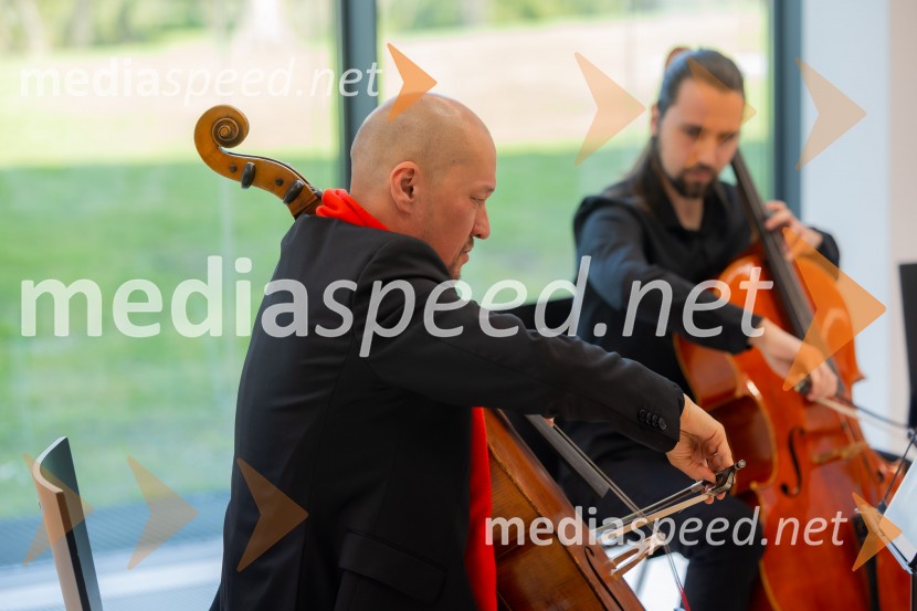 Redna letna skupščina Slovenskega konzularnega zbora