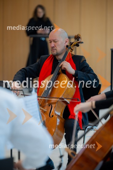Redna letna skupščina Slovenskega konzularnega zbora