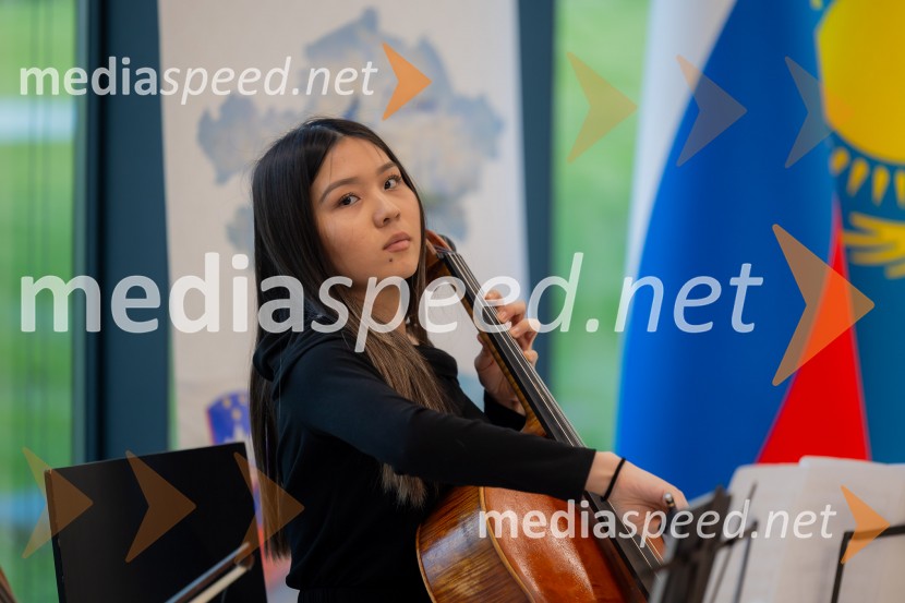 Redna letna skupščina Slovenskega konzularnega zbora