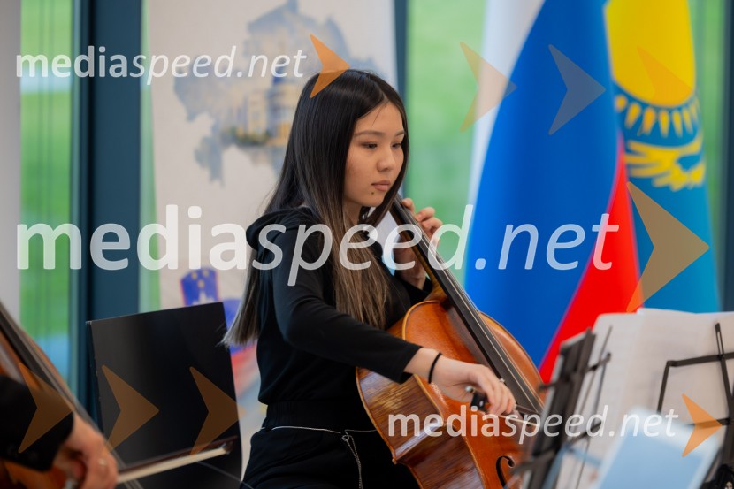 Redna letna skupščina Slovenskega konzularnega zbora