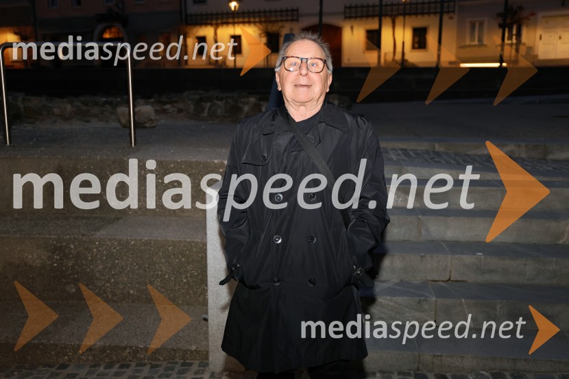 Glazerjeve nagrade 2026: Maja Godina Golija prejela priznanje za življenjsko delo