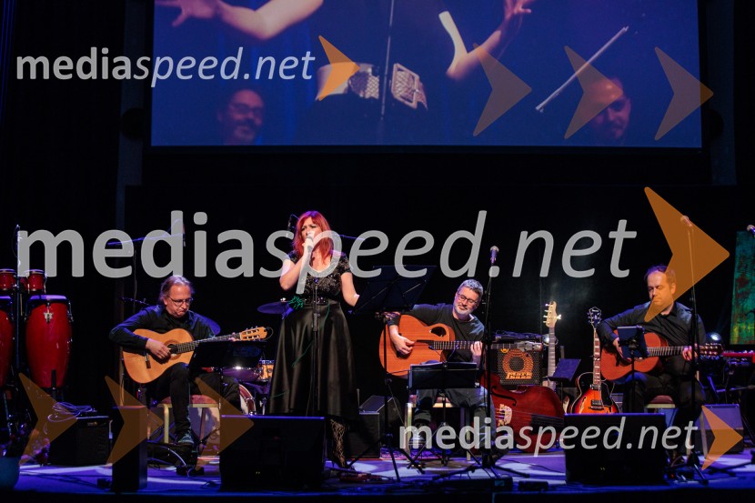 Rotary Latino večer, dobrodelni dogodek Rotary Cluba Ljubljana