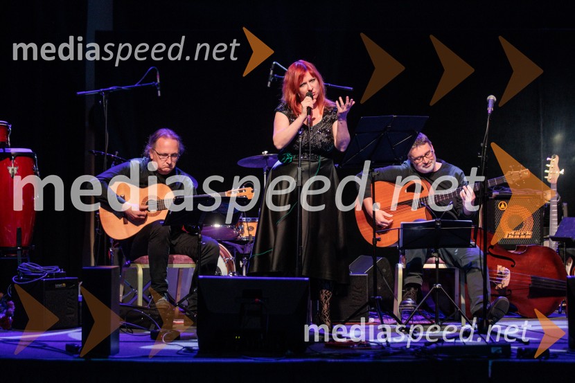 Rotary Latino večer, dobrodelni dogodek Rotary Cluba Ljubljana