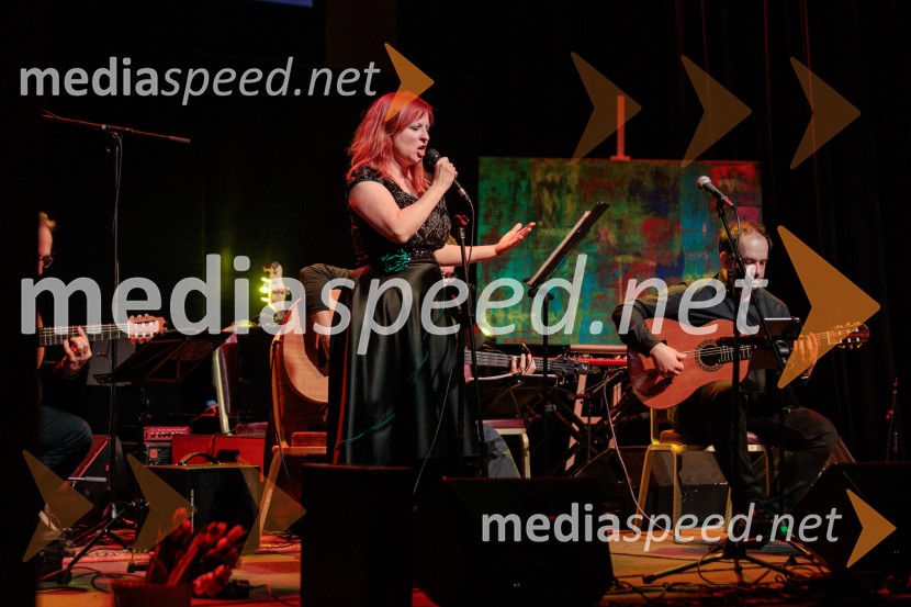 Rotary Latino večer, dobrodelni dogodek Rotary Cluba Ljubljana