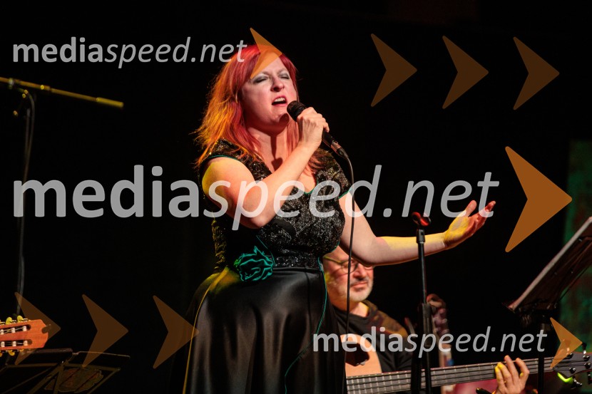 Rotary Latino večer, dobrodelni dogodek Rotary Cluba Ljubljana