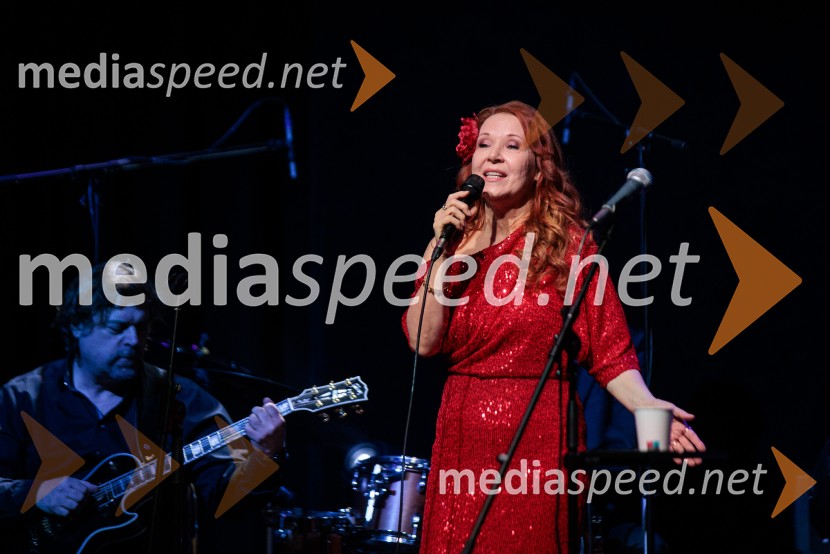 Rotary Latino večer, dobrodelni dogodek Rotary Cluba Ljubljana