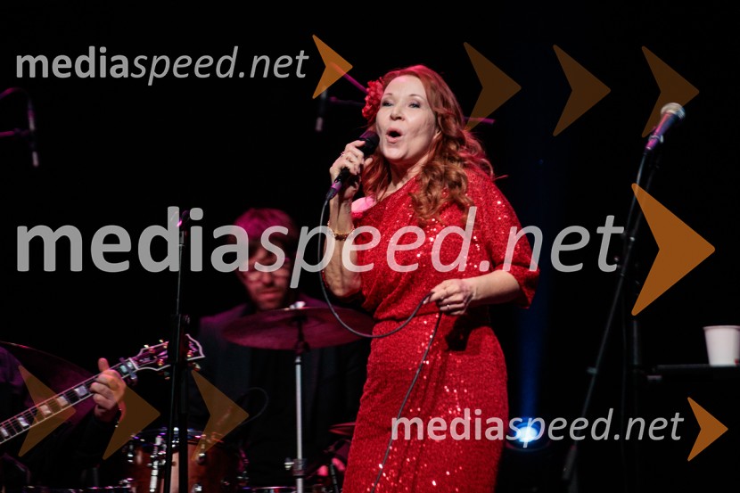 Rotary Latino večer, dobrodelni dogodek Rotary Cluba Ljubljana